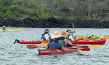 Tintoreras Kayak
