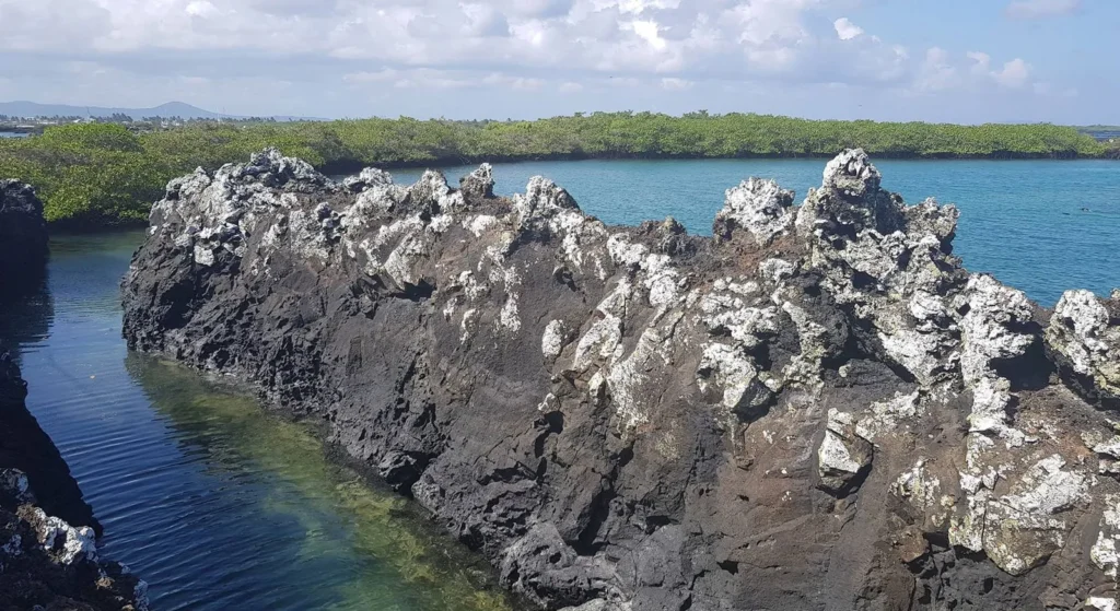 6_Tintoreras_darwin-tours