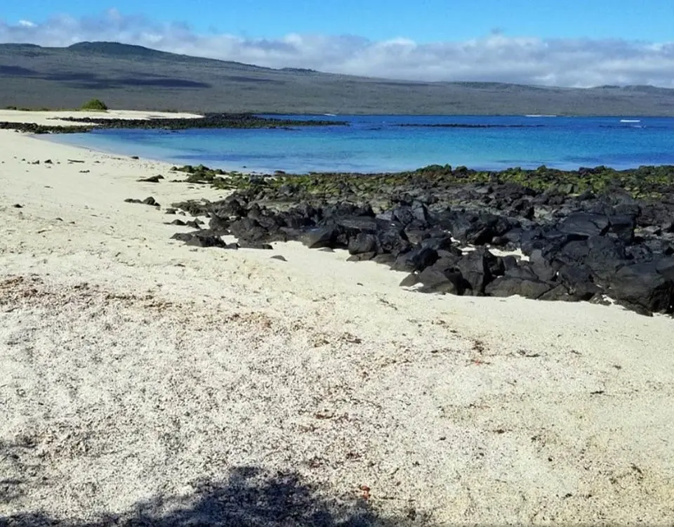 el-manglesito-beach-1