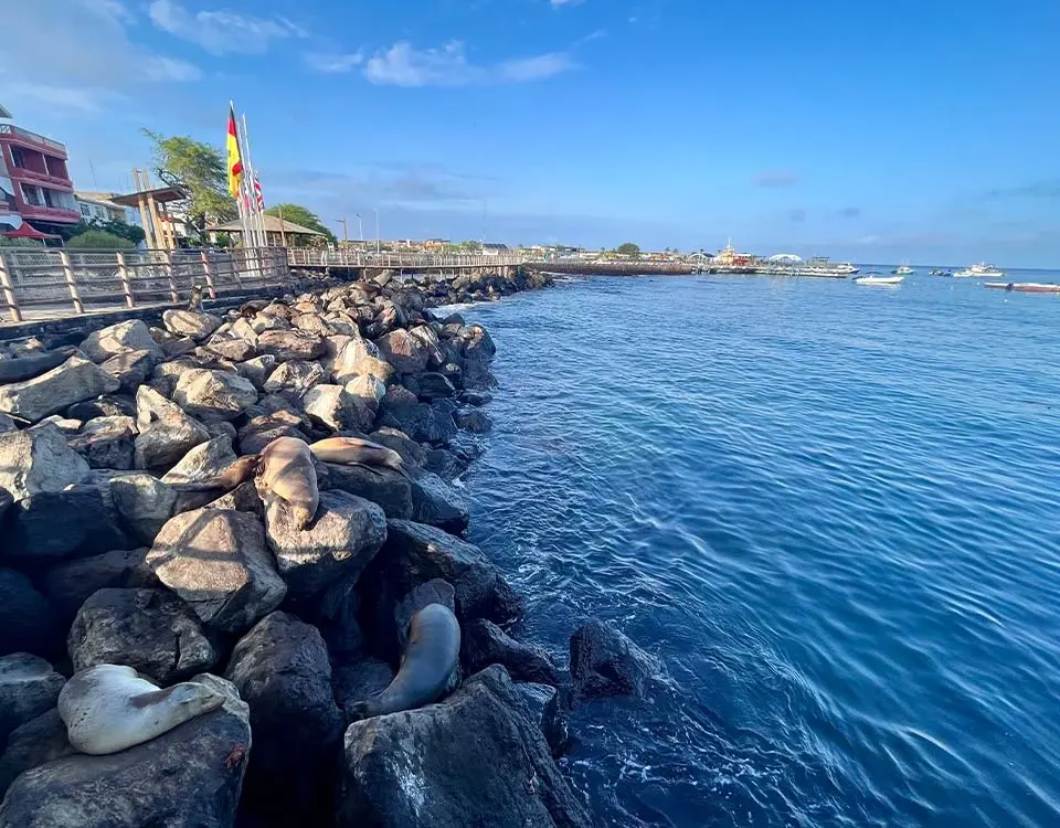 the-pier-on-san-cristobal-island-1
